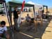 SMR2010_10et11 004