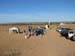 SMR2010_10et11 040