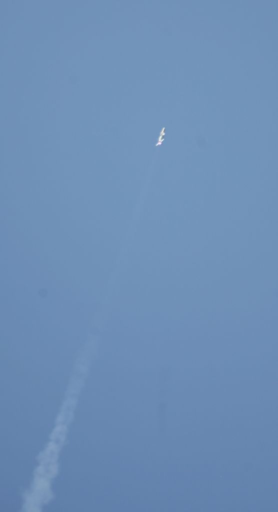 IMG_0262_1