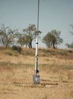 IMG_0202_1